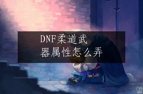 DNF柔道武器属性怎么弄