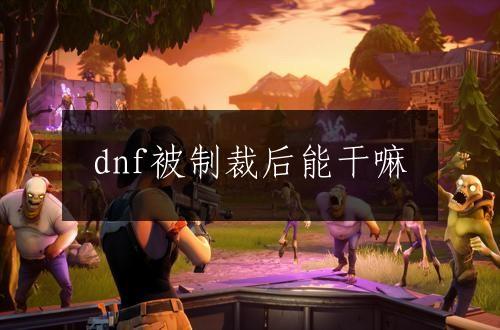 dnf被制裁后能干嘛