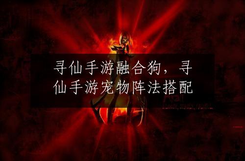 寻仙手游融合狗，寻仙手游宠物阵法搭配