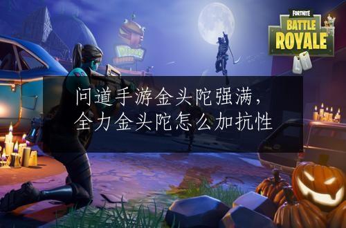 问道手游金头陀强满，全力金头陀怎么加抗性