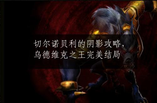 切尔诺贝利的阴影攻略，乌德维克之王完美结局