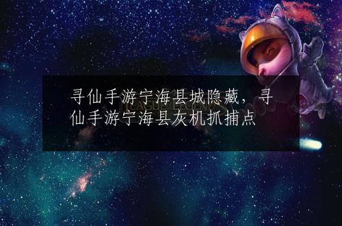 寻仙手游宁海县城隐藏，寻仙手游宁海县灰机抓捕点