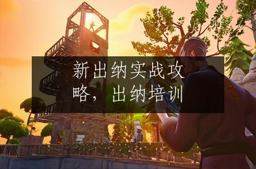 新出纳实战攻略，出纳培训