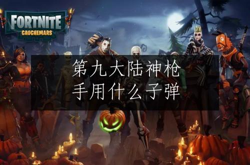 第九大陆神枪手用什么子弹