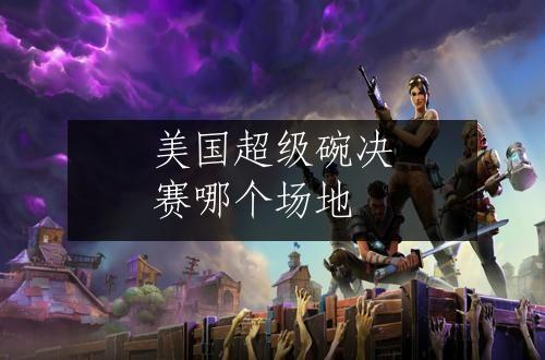 美国超级碗决赛哪个场地