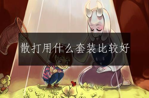 散打用什么套装比较好