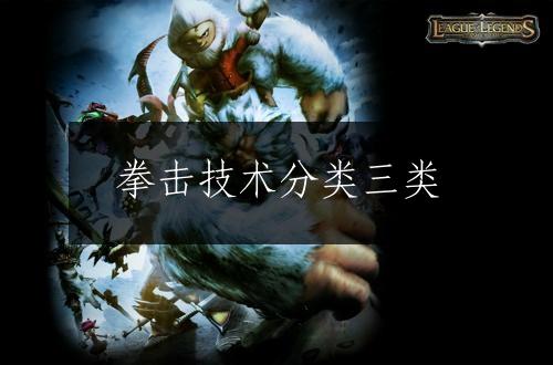 拳击技术分类三类