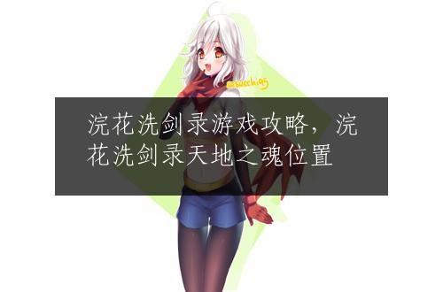 浣花洗剑录游戏攻略，浣花洗剑录天地之魂位置
