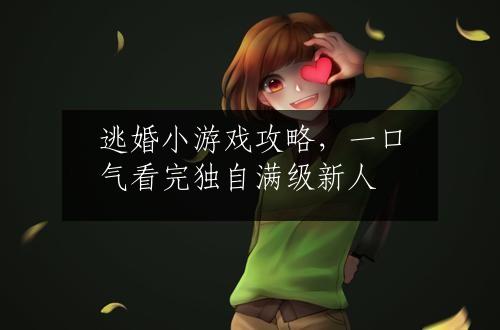 逃婚小游戏攻略，一口气看完独自满级新人